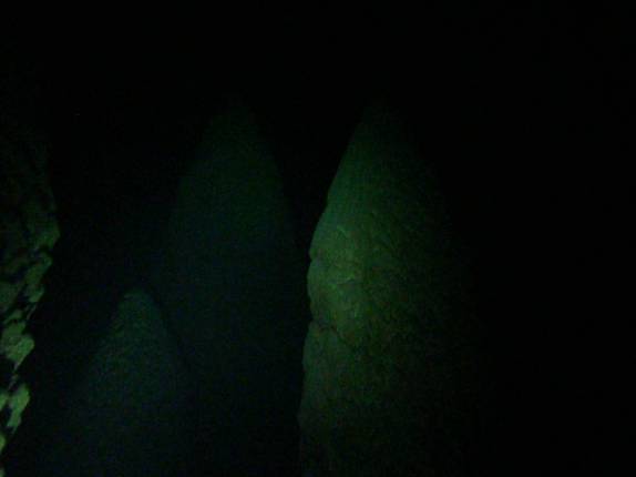 Estranhas formações no fundo do lago no Abismo de Anhumas, em Bonito, no Mato Grosso do Sul